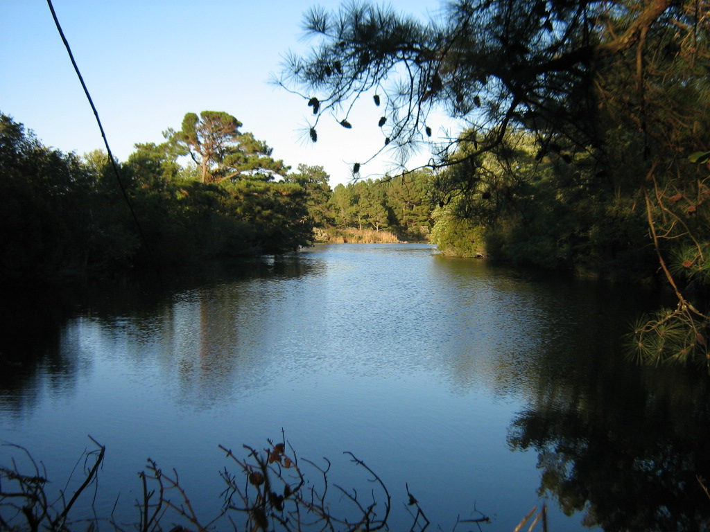 pond1.jpg